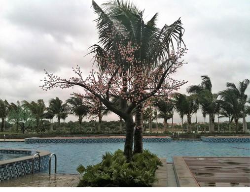 apartment for rent in binh thanh district BT1011700 (4)
